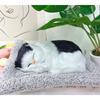 Wonpungrong Car Charcoal-eating Interior Goods Cat Doll, Milk Cat, 1 piece,Korean Car Acc