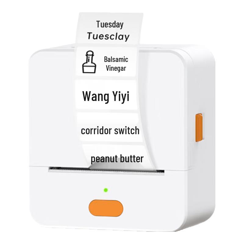 Portable Bluetooth Thermal Label Printer CN plug (adapter included)