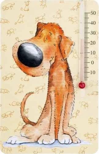 Thermometer For Refrigerators And Freezers -50°C To +40°C 15Cm Mercury-Free Ci 1 Pc