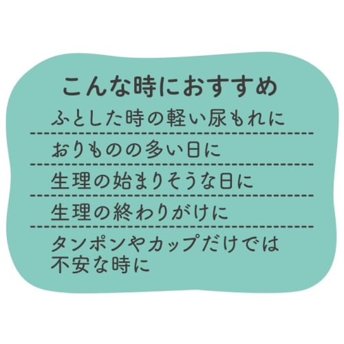 Premier Secret Care Absorbent Panties, 20cc Absorption Capacity, Compatible with Winged Pads, Adults/Women, TH22A-1S (JP, Alphabet, LL, 3L, Regular, B