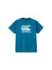 Футболка Canterbury с коротким рукавом, S/S с узором CCC Training Tee, Королевский синий, Размер L