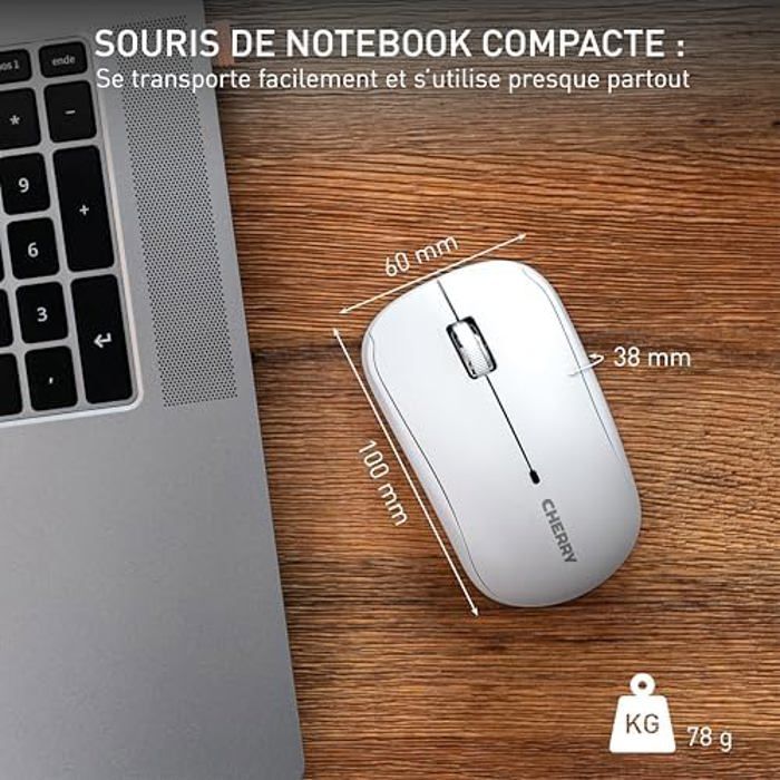 Souris d'ordinateur portable - CHERRY - MW 2200 - Sans fil 2,4 GHz - 1300 dpi - Ergonomique