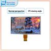 10,1-дюймовый TFT TN LCD-дисплей, разрешение 1024x600, RGB-интерфейс, для промышленного или автомобильного применения.