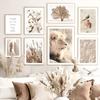 Beige Grassland Landscape Lion Zebra Bird Animals Wall Art Canvas Painting Nordic Posters And Prints Living Room Interior Decor