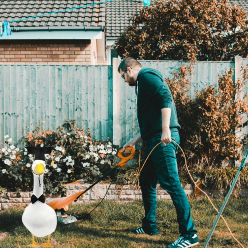 Костюм статуи гуся с кепкой и галстуком-бабочкой, милый домашний гусь, одежда для двора, украшение двора на открытом воздухе