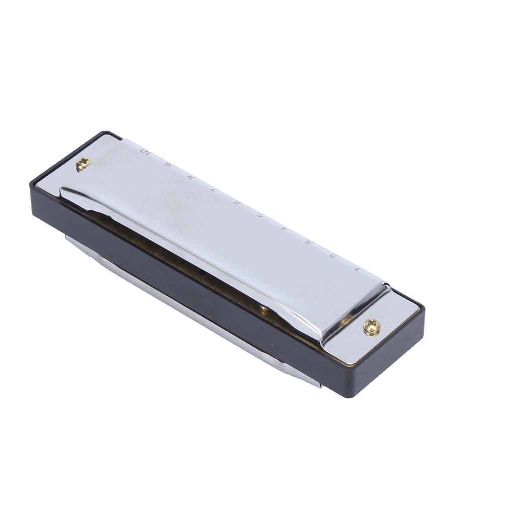 Harmonica 10 Hole 20 Tone G Key Playing Mouth Organ Wind Musical Instrument with Box ClothSilver