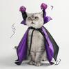 Pet Halloween Witch Costume Dog Wizard Cape Devil Horns Hat Set Pet Witch Cosplay Outfit for Cats Puppies
