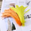 50Pcs Natural Cock Tail Feathers Set 25-40Cm Stage Performance Clothing Decoration Feathers Crafts Wedding Party Decorations