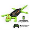 Budget-Friendly RC Wall-Climbing Gecko | Hot Selling Kids Toy