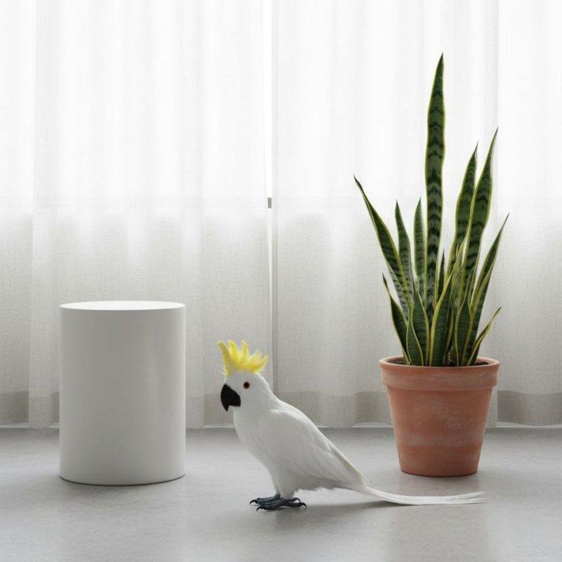 Simulation Parrot Realistic Design Feathered Parrot Model Avian Figurine Handmade House Decoration for Garden, Patio