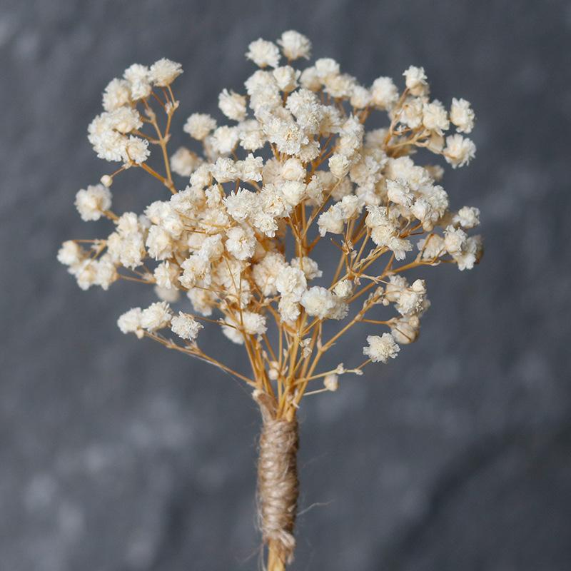 1 шт., домашний декор, цветочная брошь, булавка для воротника, мини-корсаж, сушеные цветы, сушеные растения, аксессуары для невесты