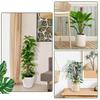 Indoor Moss Pole Stand Stackable Moss Pole for Climbing Plants Durable Plant Support Frame with Easy Installation for Growth