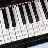 88 61 54 Key Piano Keyboard Stickers Removable Keyboard Labels with Staff Notation for Beginners Easy Installation