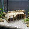 Submerged Roman Column Aquarium Cave Ancient Mansion Hideout for Fish Tanks and Aquatic Decor