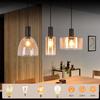 Suspension - NETTLIFE - Nettlife - Verre transparent - Métal noir - 3x E27
