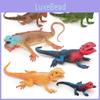 Amphibian Lizard And Reptile Model Pvc Static Figures For Kids Educational Use