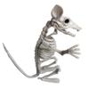 Halloween Animal Skeleton Bones Horror Simulation Skeleton Halloween Party Decoration