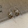 Silver Needle Zircon Star Fashion Earrings Stylish Simple Atmospheric Versatile Earrings Niche High-end Earrings Women
