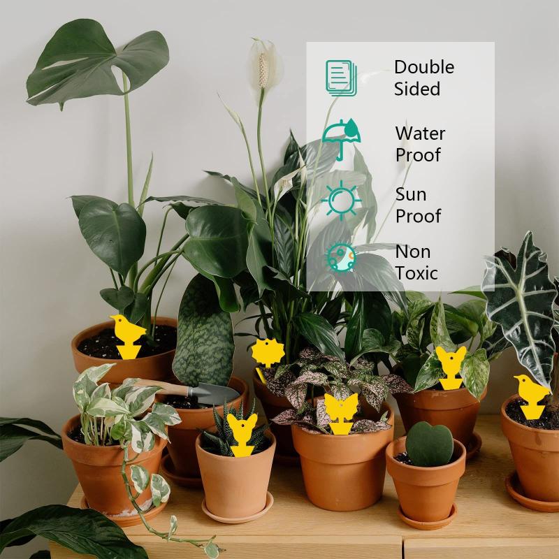 10-100 шт., липкая доска для насекомых, мощная двухсторонняя наклейка-мухоловка, липкая ловушка для мух и вредителей, насекомые-вредители, уличная наклейка для ловли насекомых