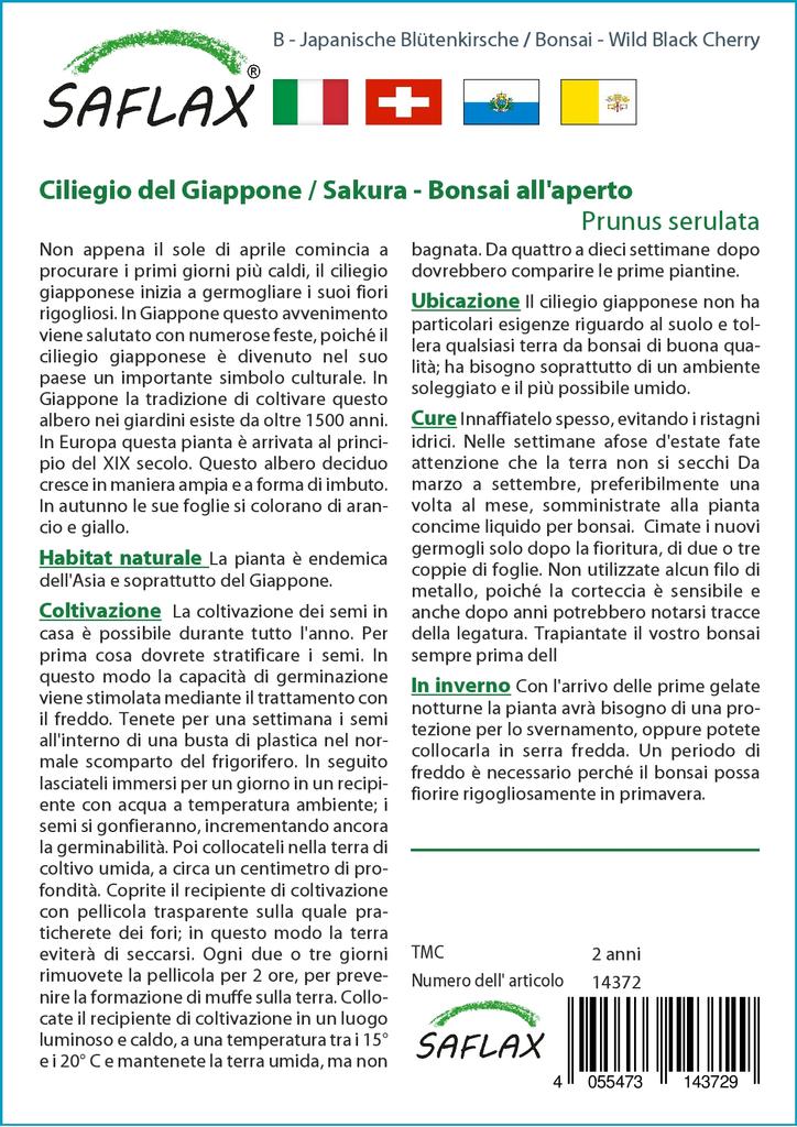 SAFLAX Garden in the Bag - Бонсай - Дикая черная вишня - 30 семян - С субстратом в подходящем пакете - Prunus serulata