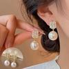 Zircon Imitation Pearl Earrings Women's New Earrings Luxury Without Piercing Ear Clip Ear Drop Ear Accessories