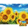 Puzzle Gallery Sunflower Field Jigsaw Puzzle, Mixed Colors, 500 Pieces Jigsaw Puzzle, Childrens Games, Educational Toys