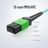 Nokoxin MPO Multimode Fiber Patch Cable