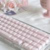 Колпачки клавиш Jelly Crystal с боковой гравировкой, 113 клавиш, двухцветная литьевая самодельная механическая клавиатура, OEM-прозрачные колпачки клавиш