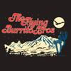 Новая Хлопковая Унисекс Футболка The Flying Burrito Brothers Desert Night S-5XL BI04_196