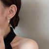 Серьги-подвески из стерлингового серебра S925 с корейским хрустальным цветком: Осенне-зимний роскошный дизайн