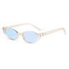 New Women'S Classic Cat Eye Sunglasses Fashion Brand Designer Eyeglasses  Spicy Girl Outdoor Street Photography Shades