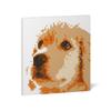 JEKCA Jekka Block Panel Golden Retriever 01S ST24GR01 -