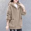 Women's Six-Color Teddy Fleece Hoodie: Korean Style, Plus-Size, Thick Autumn/Winter Cardigan