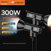 SOULMATE S-E300BiMax 300 Вт Двухцветный светодиодный заполняющий свет, комплект