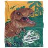 T-Rex Blanket