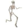 1 PC Party Supply Anatomical Photography Props Model Halloween Bone Human Skeleton