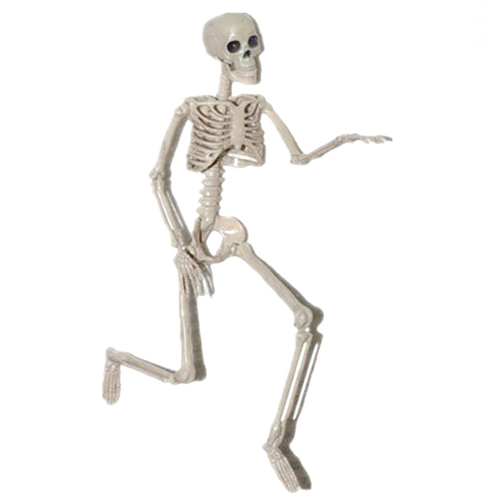 1 PC Party Supply Anatomical Photography Props Model Halloween Bone Human Skeleton