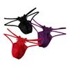 Low Waist Mesh Sheer Panties Transparent T-back Briefs Men Thin Men's Lace Thong  Male