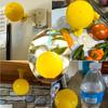 Indoor Fruit Fly Trap - Small Insect Killer & Gnat Sticky Ball for Kitchen