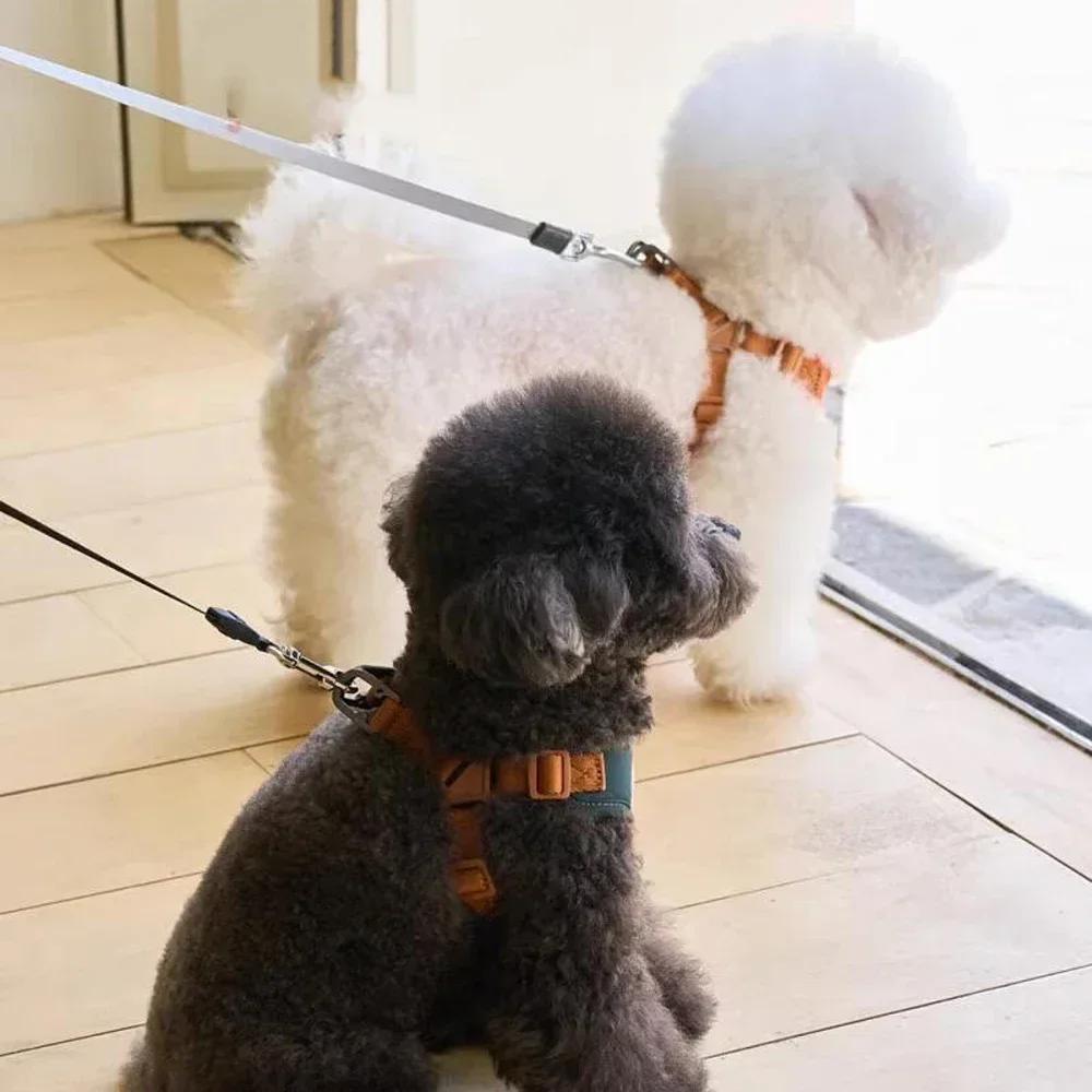 Милый медведь, комплект из кожи, нагрудный ремень для питомца, регулируемый дыхательный ремень, принадлежности для кошек и собак, комплект поводков и шлейки для собак