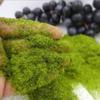 Material Garden Artificial Moss DIY Accessories Micro Landscape Decoration Artificial Grass Powder