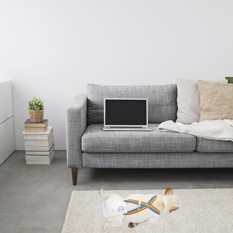 4 Sizes Pet Diapers Suspenders Lightweight Simple Convenient Physiological Pants Fixed Strap