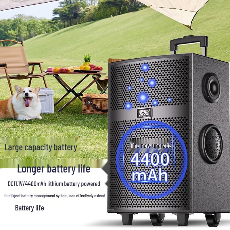 Soaiy SA-X66 Высокомощный 15-дюймовый уличный KTV динамик-тележка