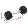 VidaXL Dumbbells 2 Pcs 10 Kg Total Cast Iron, Dumbbell Set, Hex Dumbbell, Weight Plate, Weight Bar 93601