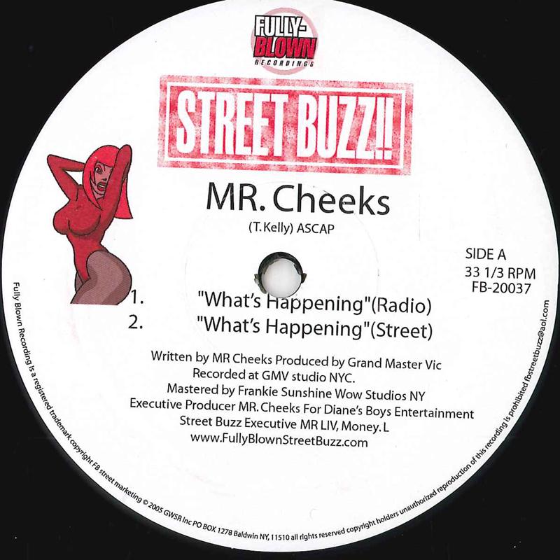 12inch Record MR. CHEEKS - What's Happening FB20037 FULLY-BLOWN 2005 US Rap & Hip-Hop/R&B Used