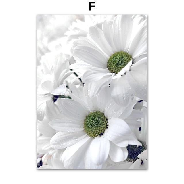 White Daisy Succulent Aloe Tropical Plant Wall Art Canvas Painting Nordic Posters And Prints Wall Pictures For Living Room Decor