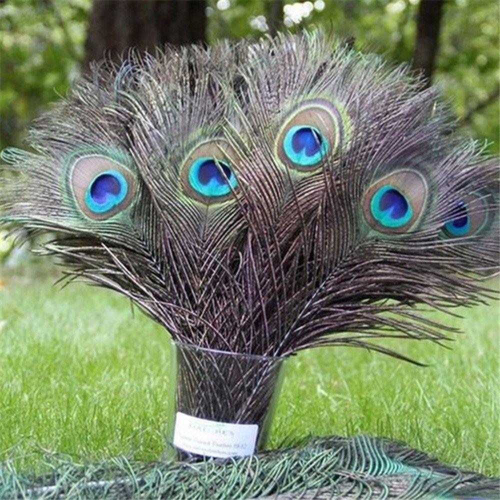 Useful Clothes Decals DIY Party Decor Natural Plume Peacock Eye Feathers Tail Artwork Ornaments