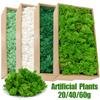20/40/60 г Мох Вечной Жизни Искусственное Зеленое Растение для Дома Сада Комнаты Украшения DIY Поделки Мини Ландшафт Искусственные Цветы