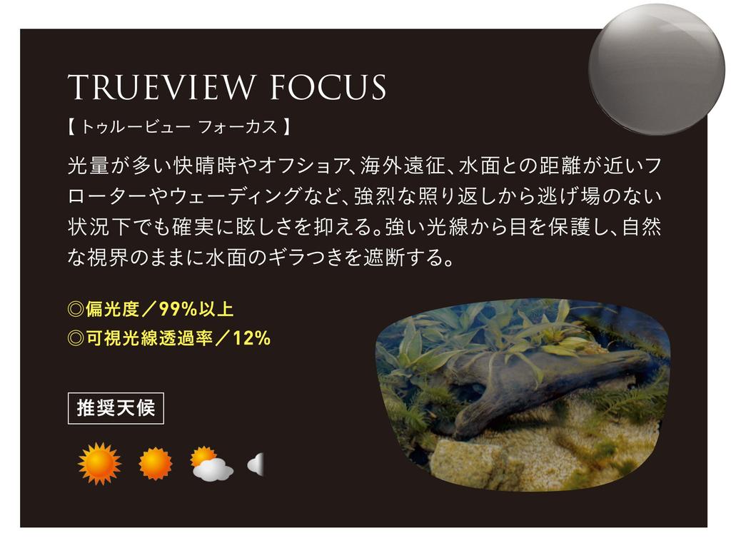 Zeque HOVER Matte Black Trueview Focus Polarized Sunglasses F-1961