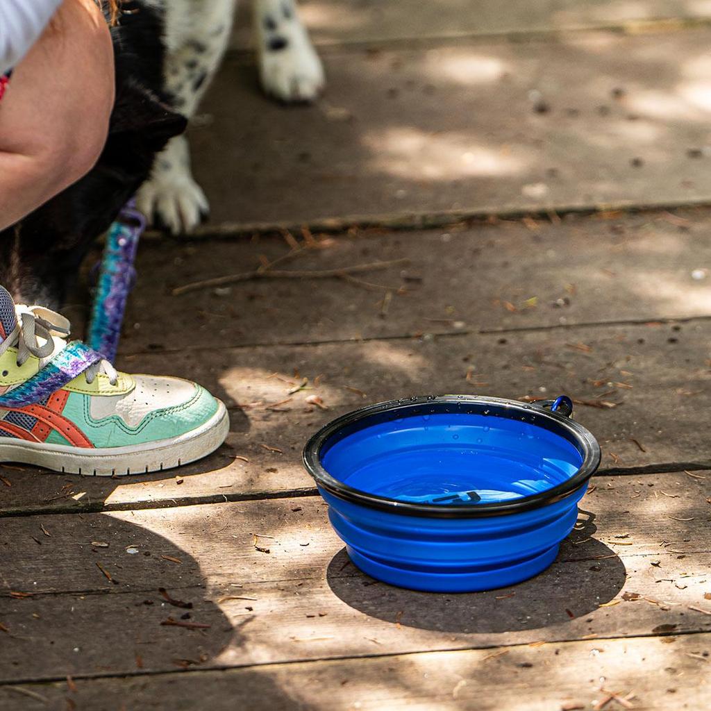 Folding Bowl for Dog 300ml Silicone Blue, for Walking and Travel